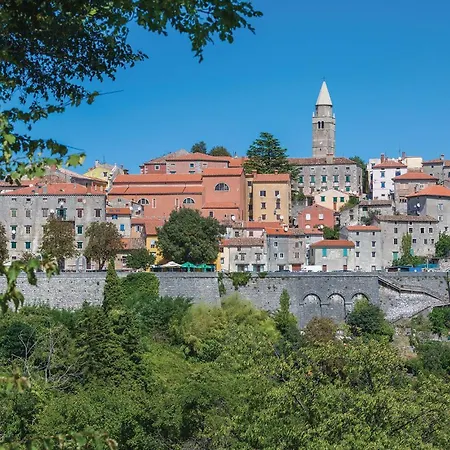 Amazing In Vinež