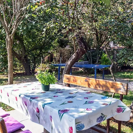 בית נופש Amazing Home In Vinez